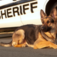 A file photo of Morris from his time in the West Chester County K-9 unit.